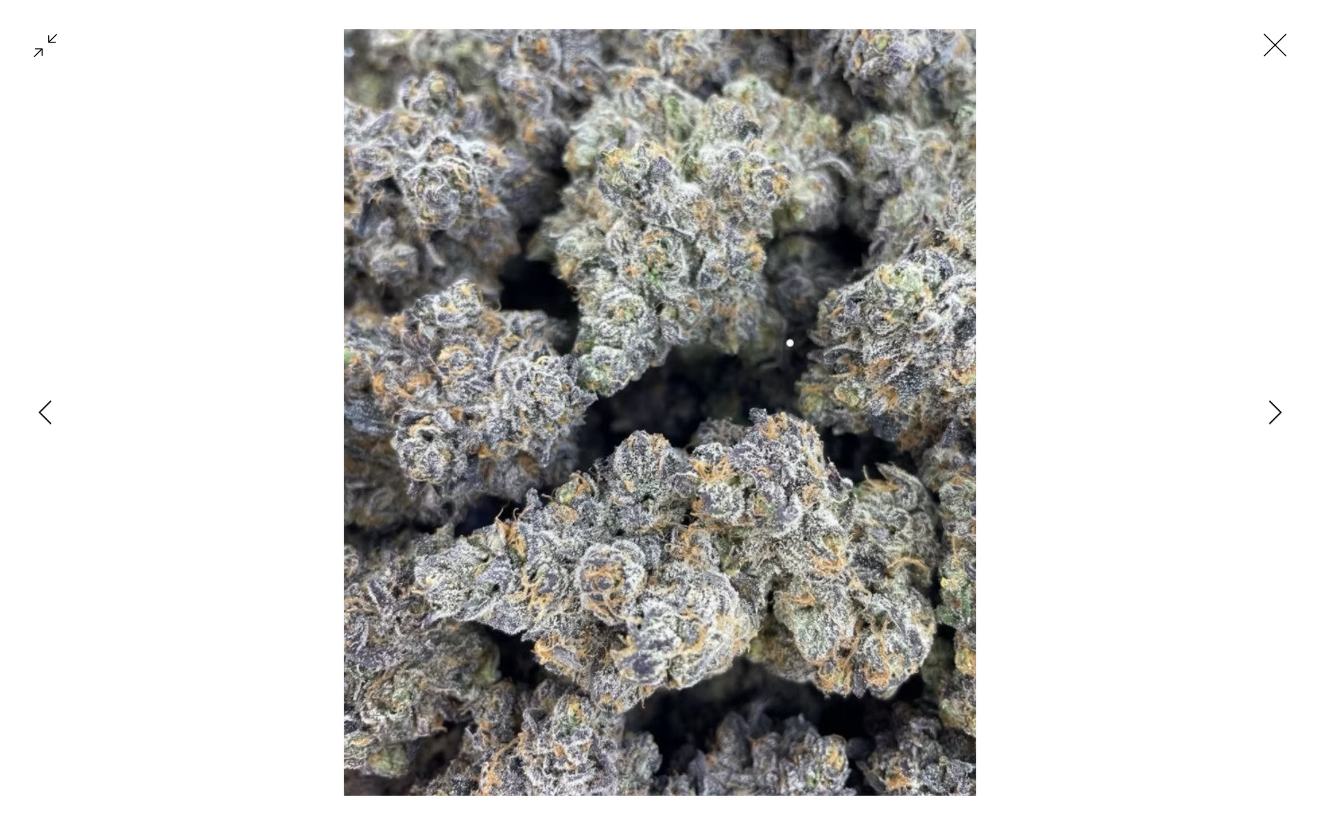 Guccizz Luxury High THCA Flower (I) Breakfast Toast / 3.5G (1/8oz)